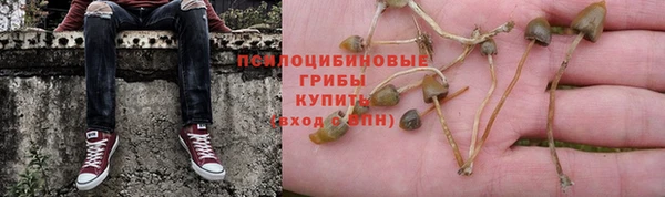 шишки Волосово