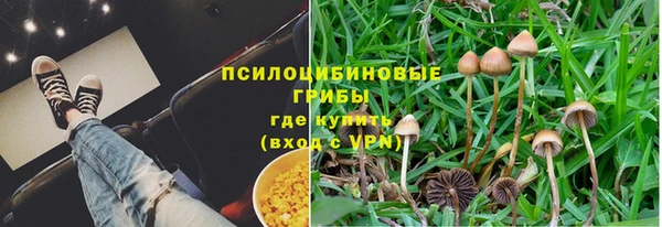 шишки Волосово