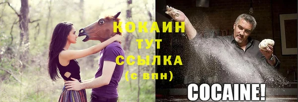 шишки Волосово