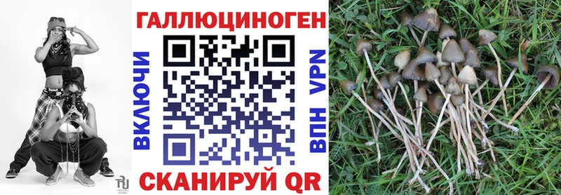 Псилоцибиновые грибы Psilocybine cubensis  Заволжье 